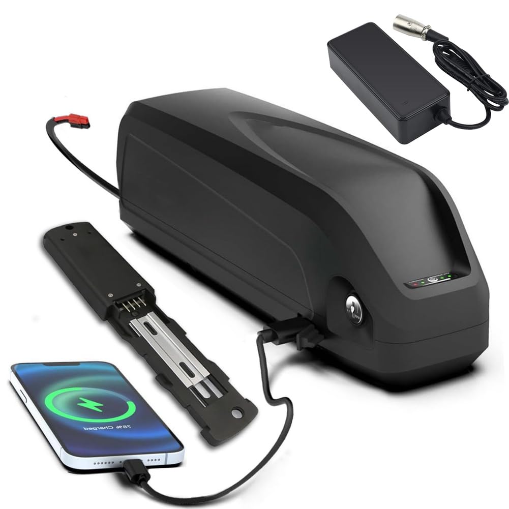 Amazon.co.jp: TGHY 充電式バッテリー 48V Ebike バッテリー 13AH